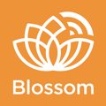 Blossom